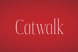 Catwalk Font for Eye-Catching Campaign Designs